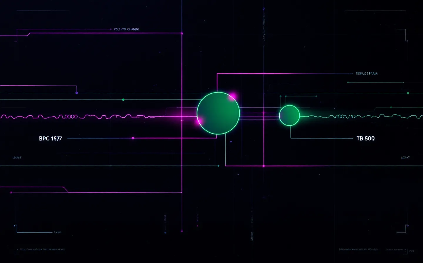 Neon magenta-and-green cyberpunk HUD schematic of two peptide constituent channels converging on a single shared tissue-repair node, on a faint-blue near-black ground with a scanline texture